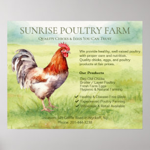 Poster Fazenda de Frangos