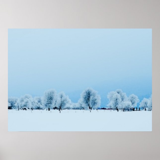 Poster Fazenda de inverno (Frente)