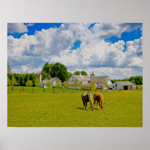 Poster Fazenda do cavalo