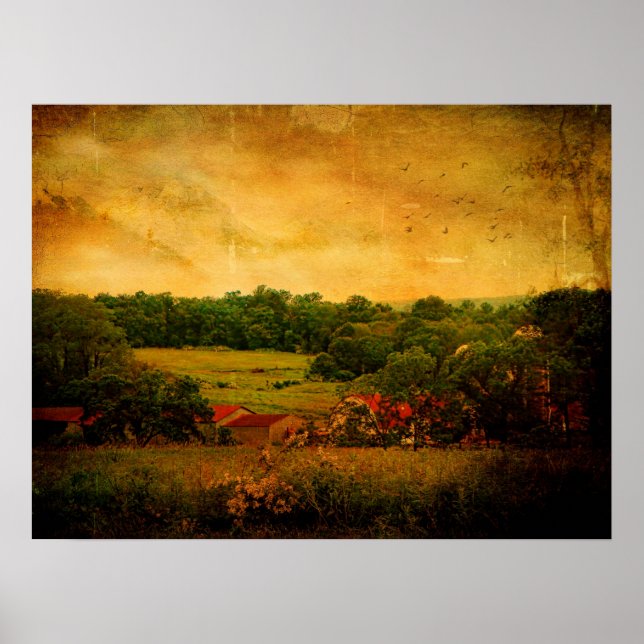 Pôster Fazenda do quintal (Frente)