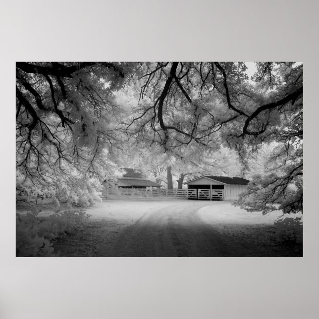 Pôster Fazenda Meadowbank (Frente)