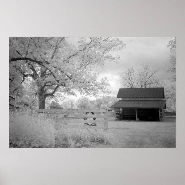 Pôster Fazenda Meadowbank (Frente)