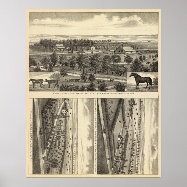 Pôster Fazenda Wahoo Valley, Nebraska (Frente)
