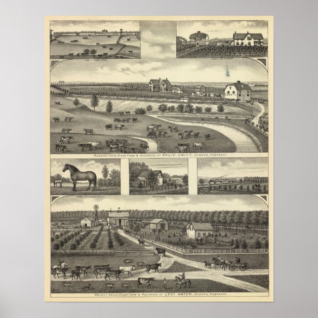 Pôster Fazendas de mar, Nebraska (Frente)