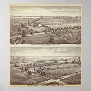 Pôster Fazendas de Tulare