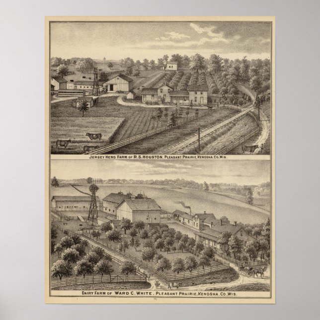Pôster Fazendas leiteiras de RS Houston e WC White (Frente)