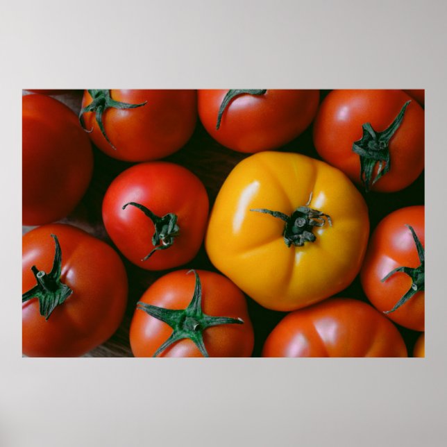 Poster Fazendas | Tomates vermelhos e amarelos brilhantes (Frente)
