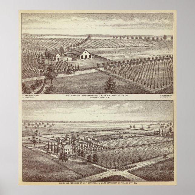 Pôster Fazendas Tulare (Frente)