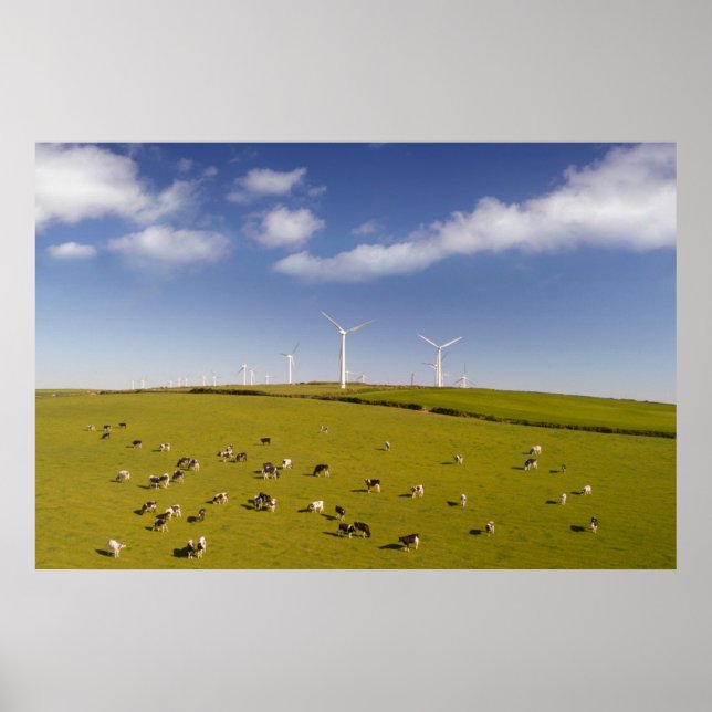 Poster Fazendas | Vacas perto da Fazenda para-brisas (Frente)