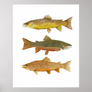 Poster Fazendo um tigre