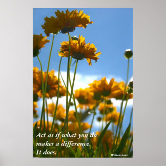 Poster Fazer A Diferença