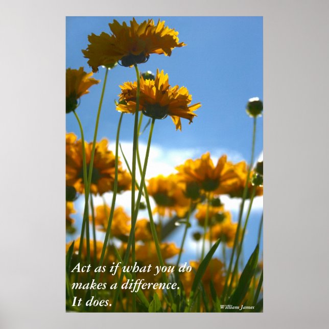 Poster Fazer A Diferença (Frente)