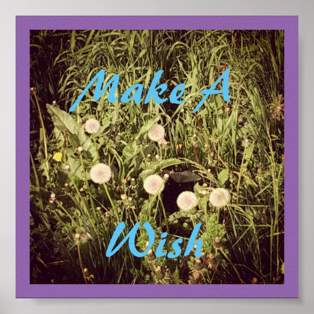 Pôster Fazer Um Desejo (Frente)
