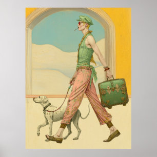 Poster FD2 Suitcase Colorful Boho MAN Dog 33