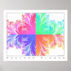 Poster Feather Flower