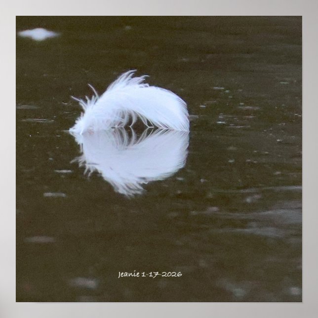 Poster Feather on the water (Frente)