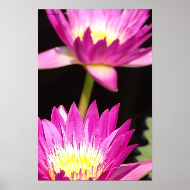 Poster fechamento (Frente)