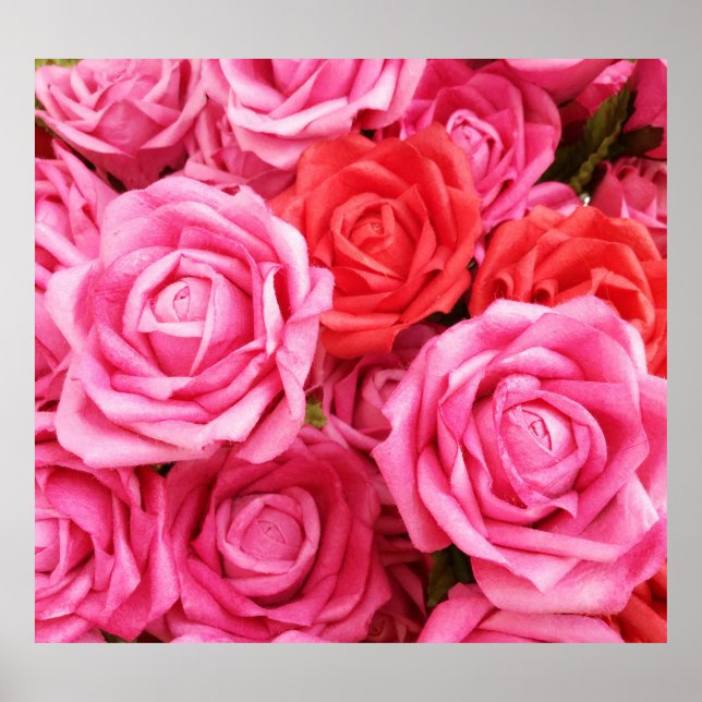 Poster Fechamento artificial do fundo da Rosa vermelha (Frente)