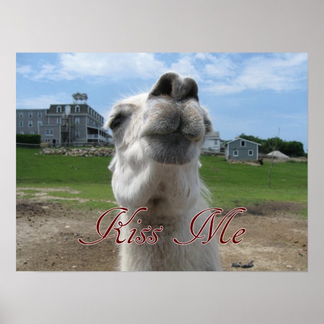 Poster Fechamento do Kiss Me Llama (Frente)
