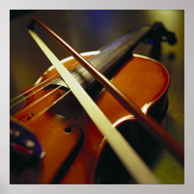 Poster Fechamento do Violino e Arco 1 (Frente)