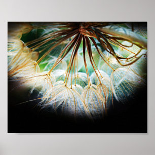 Poster Fechar Fotografia Detalhada Da Natureza Da Flor