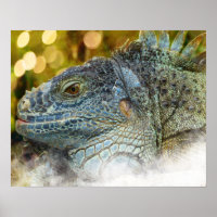 Fechar um Grande Verde Iguana Lizard