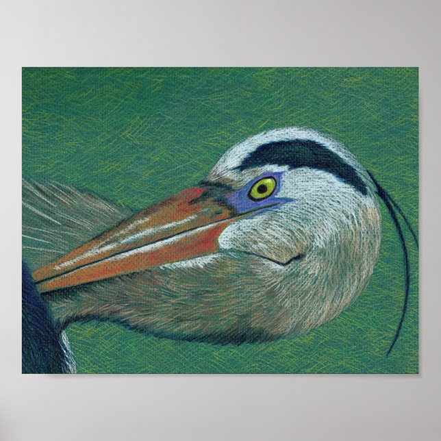 Pôster Feche Heron (Frente)