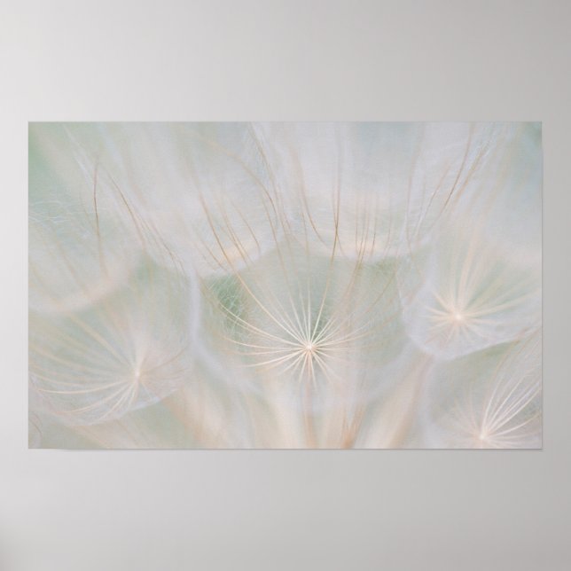 Poster Feche uma cabeça de semente, Canadá (Frente)