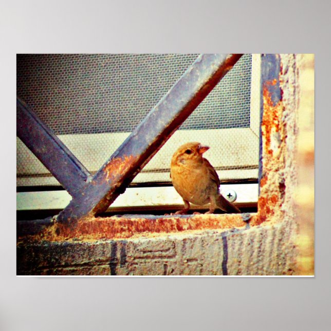 Poster Fecho (Frente)