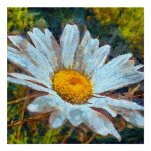 Pôster Fecho Artístico de Flor Marguerita