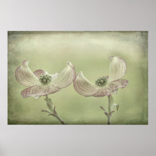 Pôster Fecho das flores de madeira rosa   Seabeck, WA