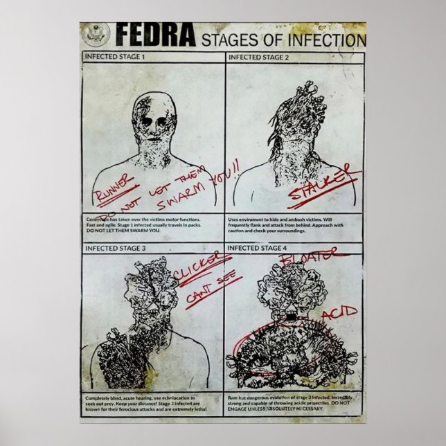 Poster Fedra Palcos de infecção (Frente)