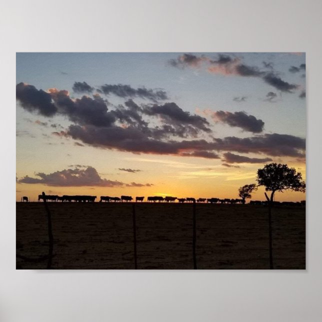 Poster Feed Time (Frente)