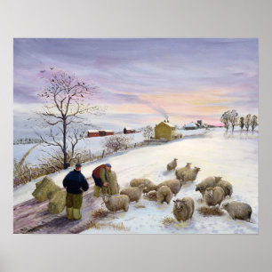 Pôster Feeding sheep in winter