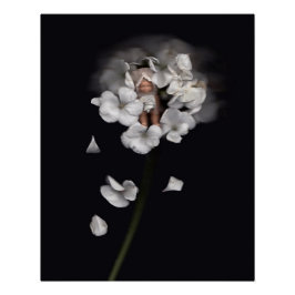 Pôster Feiras de flores 1