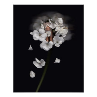 Pôster Feiras de flores 1