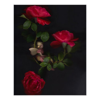 Pôster Feiras de flores 2