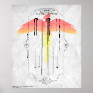 Pôster Feitiços de Harry Potter   Infográfico da Varinha 