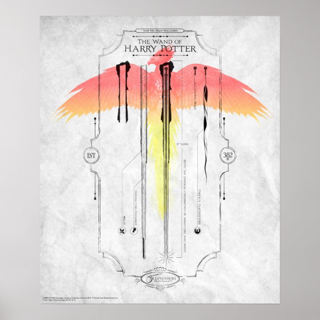 Pôster Feitiços de Harry Potter | Infográfico da Varinha  (Frente)