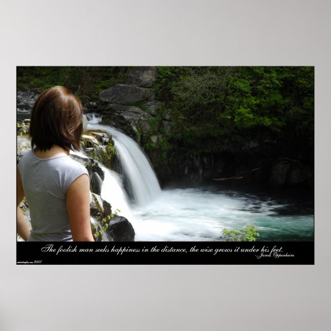 Pôster Felicidade (Frente)