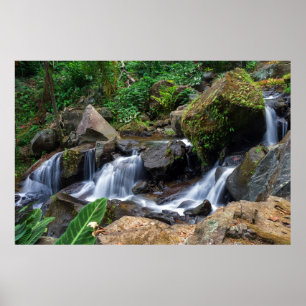 Poster Felicidade da Natureza