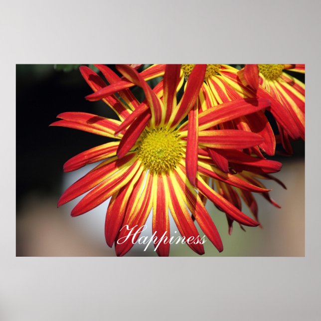 Pôster Felicidade Motivacional (Frente)