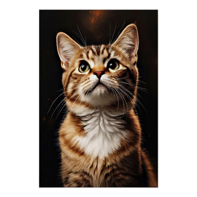 Pôster Feline Gaze (Frente)