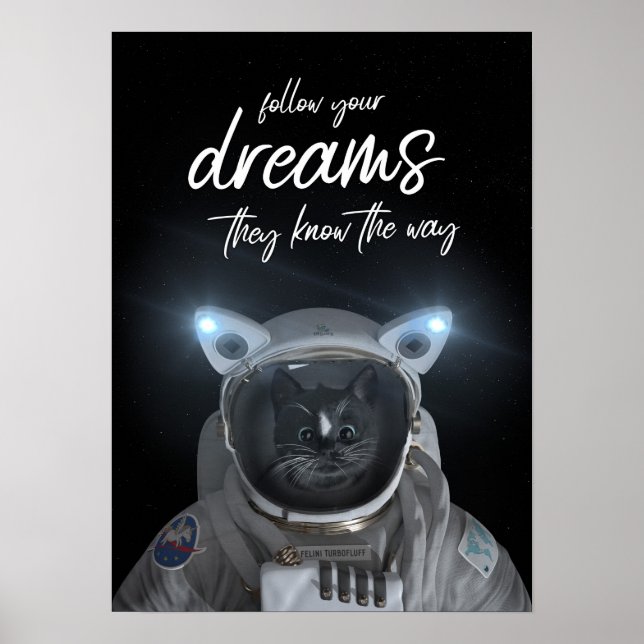 Poster Felini Space Cat - Siga seus sonhos - (Frente)