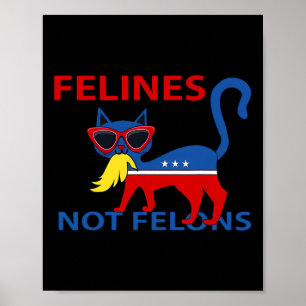 Poster Felinos Não Felons Engraçado Senhora de Gato Kamal