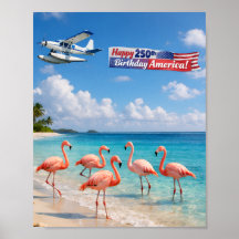 Feliz 250º Aniversário América Flamingos na Praia