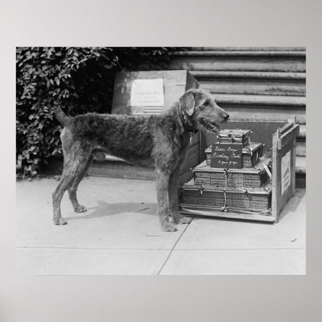 Pôster Feliz Aniversário Menino, 1920 (Frente)