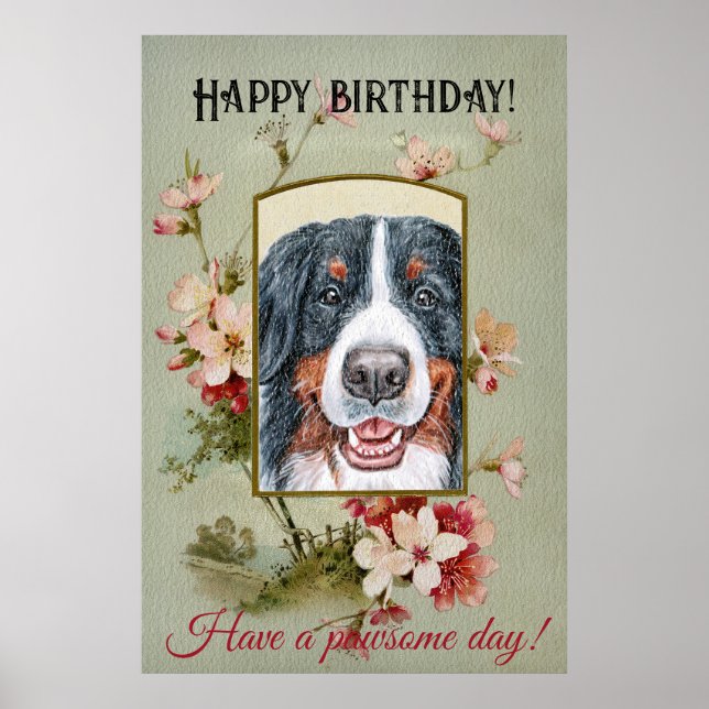Poster Feliz aniversário Saudações Bernese Mountain Dog (Frente)
