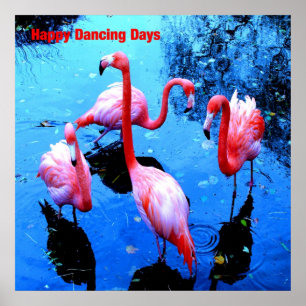 Pôster Feliz dia de dança flamingos