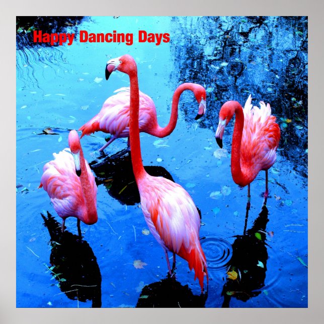 Pôster Feliz dia de dança flamingos (Frente)